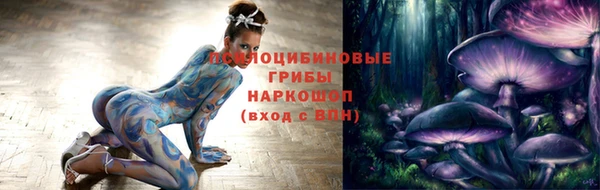 хмурый Зеленокумск