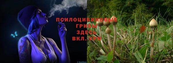 твердый Беломорск